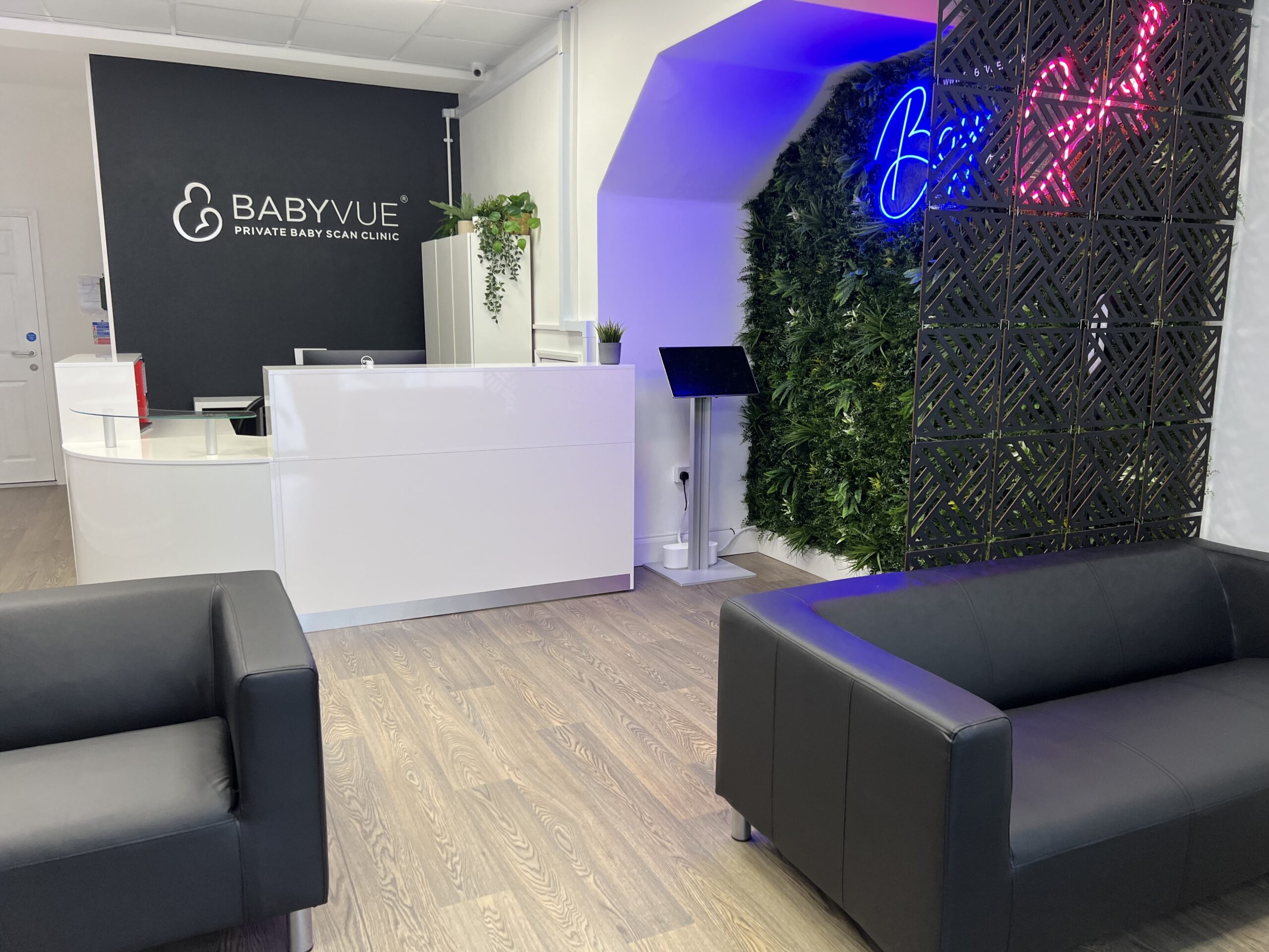 Private Deluxe 4D HD Scan Package at Babyvue Orpington & Dagenham