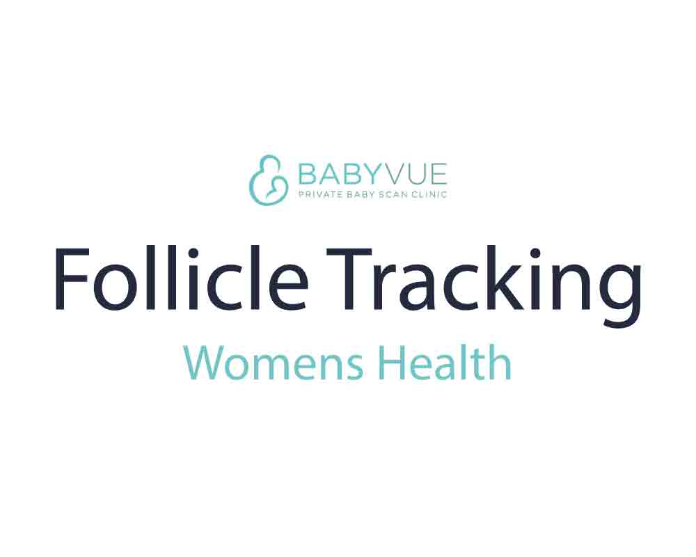 Follicle Tracking Scan