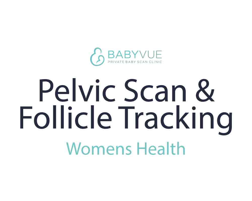 Pelvic Scan & Follicle Tracking
